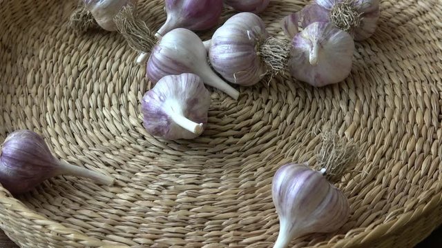 Fresh garlic in small basket
