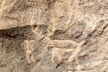 Azerbaijan, Qobustan. A petroglyph of an animal carved into a rock wall at Gobustan National Park.