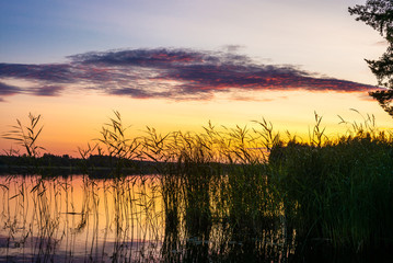 Reeds plants on the shores of the calm Saimaa lake in Finland under a nordic sky on fire  - 4