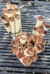 Cambodia. Sweet, sticky rice is combined with red beans and sealed in bamboo tubes that are topped with coconut husks and then roasted. Popular Cambodian snack.