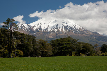 Fototapeta na wymiar South Pacific, New Zealand, North Island. View of volcanic mountain Mt. Taranaki. 