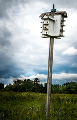 Birdhouse and angry sky