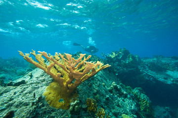 Tortola, British Virgin Islands, Caribbean © Stuart Westmorland/Danita Delimont