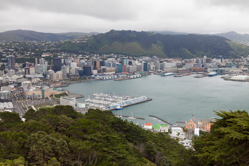 Fototapeta na wymiar New Zealand, North Island, Wellington coast.