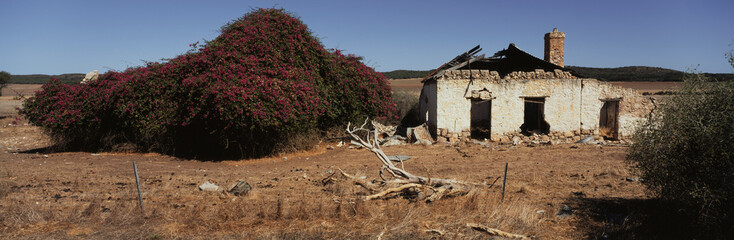 West Australia, Allanooka, View of abandoned farmhouse