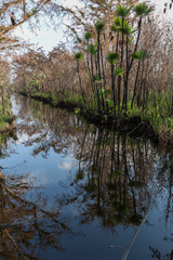 A drainage canal is seen near the Zapata Swamp near the town of Playa Larga, Cuba