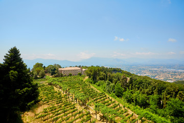 Fototapeta na wymiar view of the vineyards valley