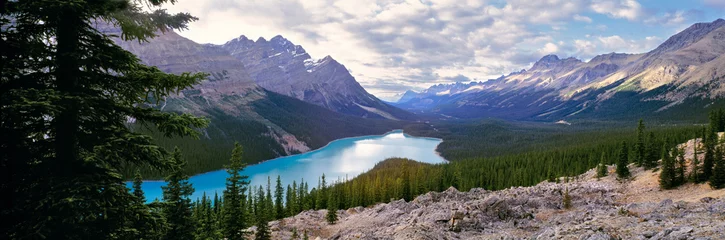 Foto op Plexiglas Canada, Alberta, Peyto Lake. Peyto Lake stretches cool blue through Banff NP, a World Heritage Site, Alberta, Canada. © Ric Ergenbright/Danita Delimont