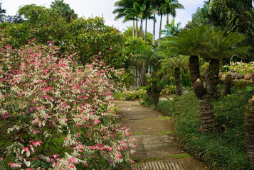 Martinique, French Antilles, West Indies, Walkway at Jardin de Balata (Balata Garden). Begun in...