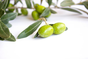 Fresh organic green olives on the white plate,olive branch with green olives,isolated,space for text