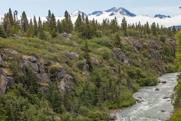 Obraz premium Canada, British Columbia, carcross. Tutshi River