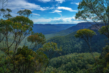 hiking in the blue mountains national park, australia