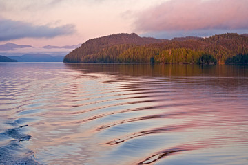Canada, British Columbia, Calvert Island. Boat wake in water at sunset.  - obrazy, fototapety, plakaty