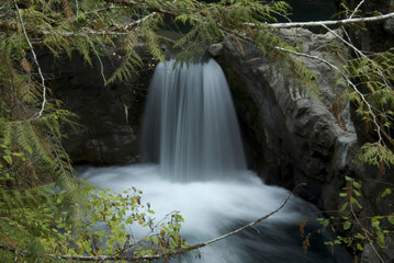 Obraz premium Upper Falls, Little Qualicum Falls Provincial Park, Vancouver Island, British Columbia, Canada