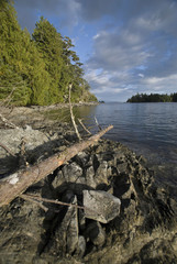 Keith Island, Broken Island Group, Pacific Rim National Park Preserve, British Columbia, Canada, September 2006