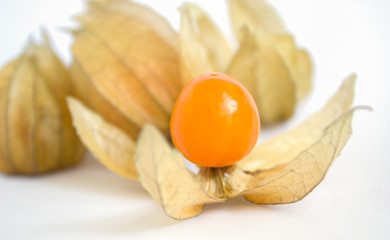 Fresh organic physalis (cape gooseberry) peruviana over white background