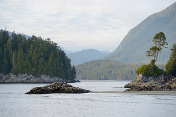Fototapeta na wymiar Canada, British Columbia, Vancouver Island. Trees and rocks at Tonquin Beach