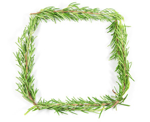 Fresh rosemary herb isolated on white background, Top view with copy space