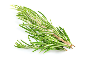 Fototapeta premium Fresh branch of rosemary herb isolated on white background
