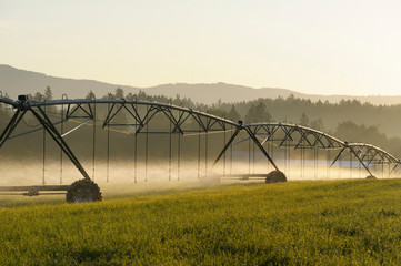 Canada, British Columbia, Vancouver Island, Cowichan Valley. Irrigation equipment water a field on a farm in the Cowichan Valley