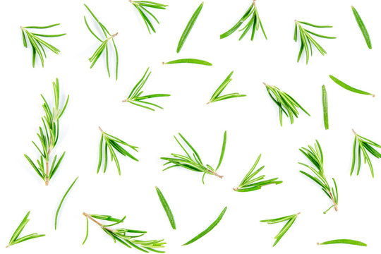 Fresh rosemary herb isolated on white background, Top view with copy space