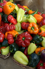 Canada, British Columbia, Salt Spring Island, Ganges. A selection of sweet peppers for sale at the Salt Spring Island Saturday Market located in Ganges