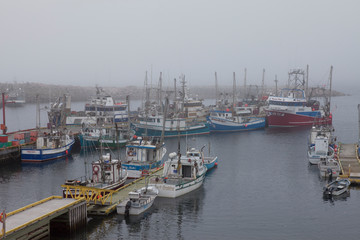 Fototapeta na wymiar Fishing Fleet Trinity Bay North, Newfoundland, Canada