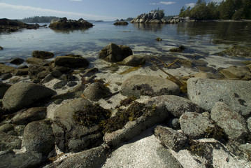 Dicebox Island, Broken Island Group, Pacific Rim National Park Preserve, British Columbia, Canada