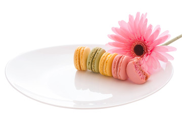 French sweet delicacy macaroons variety colorful and different types sweet macarons on white plate with pink flower isolated on white background with copy space and clipping path.
