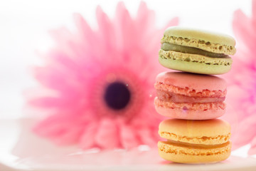 Obraz na płótnie Canvas French sweet delicacy macaroons variety colorful and different types sweet macarons on white plate with blurred pink flower isolated on white background.