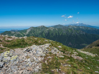 Mountain landscape of Western Tatra mountains or Rohace with view on high tatras with Krivan peak from hiking trail on Baranec. Sharp green grassy rocky mountain peaks with scrub pine and alpine