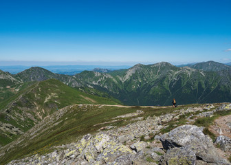 Obraz premium Mountain landscape of Western Tatra mountains with woman with bacpack and dog on hiking trail on Baranec. Sharp green grassy rocky mountain peaks with scrub pine and alpine flower meadow. Summer blue
