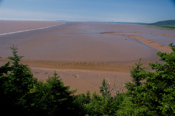 Canada, New Brunswick, Hopewell Cape, Bay of Fundy. Daniel Flats, view of mud flats at mid-tide.