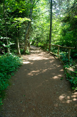 Canada, Prince Edward Island. Green Gables NP. Setting for L.M. Montgomery's classic fiction, Anne of Green Gables. Lover's Lane as mentioned in book, Balsam Hollow trail.