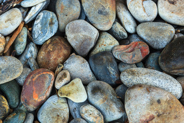 Beach rocks, Juan De Fuca Trail, near Jordan River, Vancouver Island, British Columbia, Canada