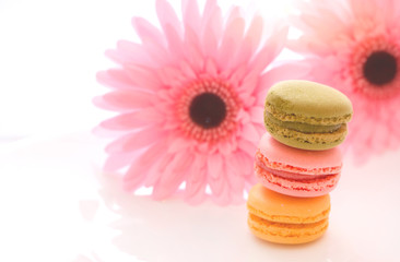 Fototapeta na wymiar French sweet delicacy macaroons variety colorful and different types sweet macarons on white plate with blurred pink flower isolated on white background.