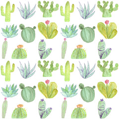 Seamless pattern with green ordinary and blooming varied cacti on a white background. Watercolor hand drawn pattern