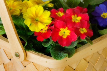 Detail of basket of flowers. 