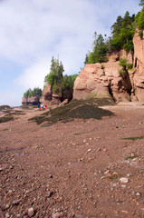 Canada, New Brunswick, Hopewell Cape, Bay of Fundy. Hopewell Rocks at low tide (aka Flowerpot...