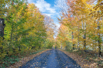 Canada, Quebec, Eastern Townships, Autumn Road.