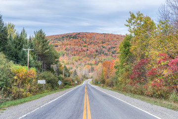 Canada, Quebec, Eastern Townships, Country Road with autumn color.