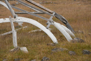 Canada, Nunavut, Kekerten Island. Kekerten Historic Park, Qammaq, whaler's shelter made from wood...