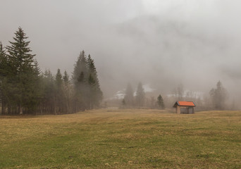 Fototapeta na wymiar The landscape in a fog, Austria