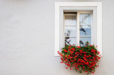Wels, Upper Austria, Austria - Red flowers are hanging from an open window with trees reflected in the glass panes.