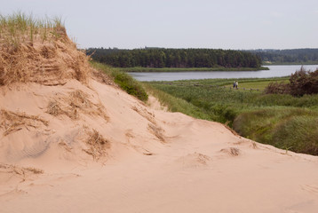 Canada, Prince Edward Island NP, Maritime Plain National Region. Greenwich Peninsula, Cavendish Coastal dune area and wetlands.