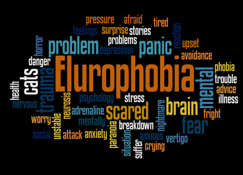 Elurophobia fear of cats  word cloud concept 3