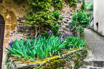 Fototapeta na wymiar France, Najac. Irises planted along the walk
