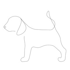Beagle puppy, vector illustration