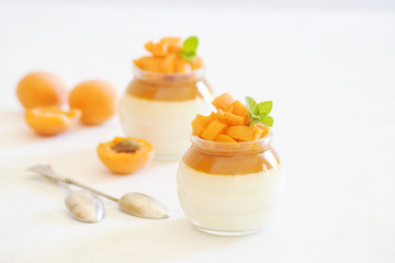 Italian dessert panna cotta with apricot jelly and pieces of fresh apricot. Copy space.