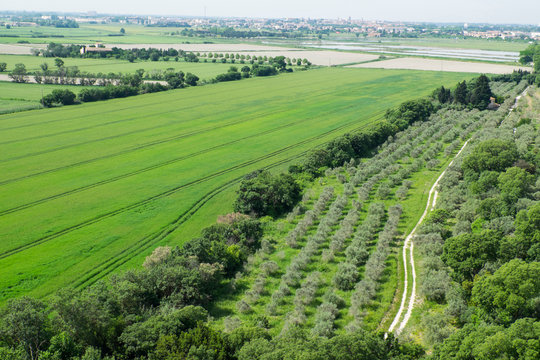France, Arles, view from Abbey of Saint Peter of Montmajour, Benedictine Order, established in 949 AD